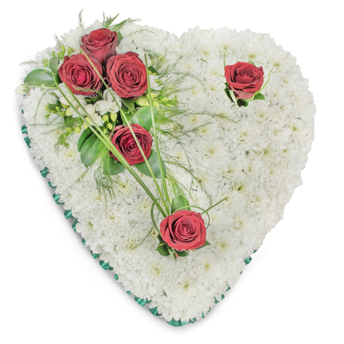 Expertly arranged in a perfect heart, this funeral tribute is built from a dense mattress of small, immaculate white chrysanthemums that give a cloud-like softness and a tactile, textural richness across the entire shape. On the upper left, three deeply saturated red roses are clustered together, their velvet petals stretching outward amid glossy ruscus leaves and feathery fern fronds; nearby, delicate white freesia-like accents lift the cluster with a faint, sweet note. Two separate red roses-one positioned near the upper right curve and the other at the heart's lower tip-are set with minimal green sprigs and gently curving bear-grass blades that echo the heart's contour and guide the eye. The whole outline is neatly trimmed with a slim, emerald-green satin ribbon, a subtle but distinct border that gives the piece a composed, respectful edge against the plain white background. Photographed from above in soft natural light, the arrangement shows layered depth: the chrysanthemum cushion appears almost luminescent while the roses offer a concentrated, sorrowful crimson. As a traditional sympathy wreath crafted for courtesy and remembrance, it conveys love, respect, and serenity-the sort of arrangement we prepare for funerals near Barkingside High Street, the Fullwell Cross area, or services at local chapels and Hainault Forest memorials. Flower Delivery Barkingside can arrange careful local delivery and placement with the quiet attention such moments deserve.
