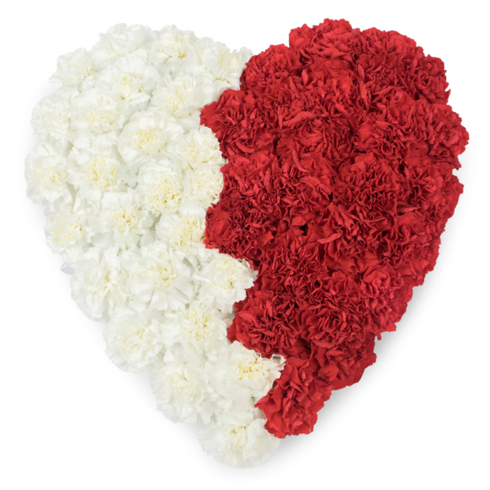 A striking overhead portrait of a heart-shaped floral tribute, handcrafted from hundreds of fresh carnations and presented on a stark white field. The composition is exactly halved by a vertical seam: the left half is a sea of creamy white carnations whose layered, ruffled petals create a soft, cushion-like surface, while the right half blossoms in dense, deep red carnations that bring a sense of warmth and intensity. The meeting line is deliberately irregular, with a serrated suggestion - a saw-tooth rhythm that, in some settings, can evoke the stepped edge of a national emblem - yet here it reads as a considered design choice that adds personality and cultural resonance. Under gentle, even illumination the petals' textures are clearly modelled, small shadows forming in the petals' folds and lending depth to the arrangement. The overall impression is both comforting and ceremonious: suitable for commemorations at local memorials near Hainault Forest Country Park or respectful civic occasions around Fullwell Cross. As a Barkingside florist I recognise the careful horticultural technique - each carnation positioned to preserve surface continuity and to keep the heart's silhouette crisp - a practice we follow at Flower Delivery Barkingside when preparing tributes that need to convey both dignity and heartfelt sentiment. The piece suggests love, remembrance, and communal pride, its tactile ruffles and balanced colours offering a gentle, steady presence at moments of farewell or national observance.