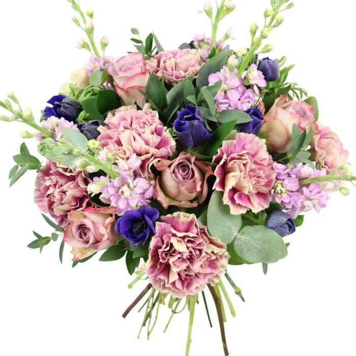A lush, elegantly composed bouquet fills this photograph, its colours radiant against a bright white backdrop that could easily be the light-filled interior of a Barkingside home. At the centre, plump garden roses in shades of blush pink, dusty rose, and subdued mauve open widely, each petal layered to form a soft, romantic rosette. Intermingled with the roses, countless frilly carnations create a cushion of texture, their petals transitioning from creamy beige and pale blush at the core to richer rose, fuchsia, and plum tones along the edges, giving the impression of gentle ripples across the bouquet. Among these warm hues, deep indigo-blue flowers, shaped like neat, elongated buds, emerge, introducing a cool, sophisticated contrast. Near the lower front, a royal blue anemone with a velvety, dark centre spreads its petals, drawing the eye and anchoring the design. Delicate stems of lilac and pale lavender stock pierce upward through the denser blooms, their small, closely packed blossoms adding an airy, vertical dimension that recalls the soft planting in nearby garden squares off Barkingside High Street. Enveloping the flowers is a mix of rich foliage: sleek dark green leaves, likely from the roses, provide a strong, structural base, while the rounded, silvery-green eucalyptus leaves thread gently between blossoms, adding cool tone, texture, and the hint of a crisp, herbal scent. Some slender green stalks topped with buds stretch subtly above the main body, lending a lively, growing feel. At the bottom, the stems are carefully tied and left visible, fanning slightly to show the natural materials. Overall, the bouquet conveys refined beauty and heartfelt sentiment, ideal for weddings, anniversaries, spring celebrations, or as a sophisticated gift for someone living near Clayhall, Fullwell Cross, or the peaceful streets leading toward Fairlop.