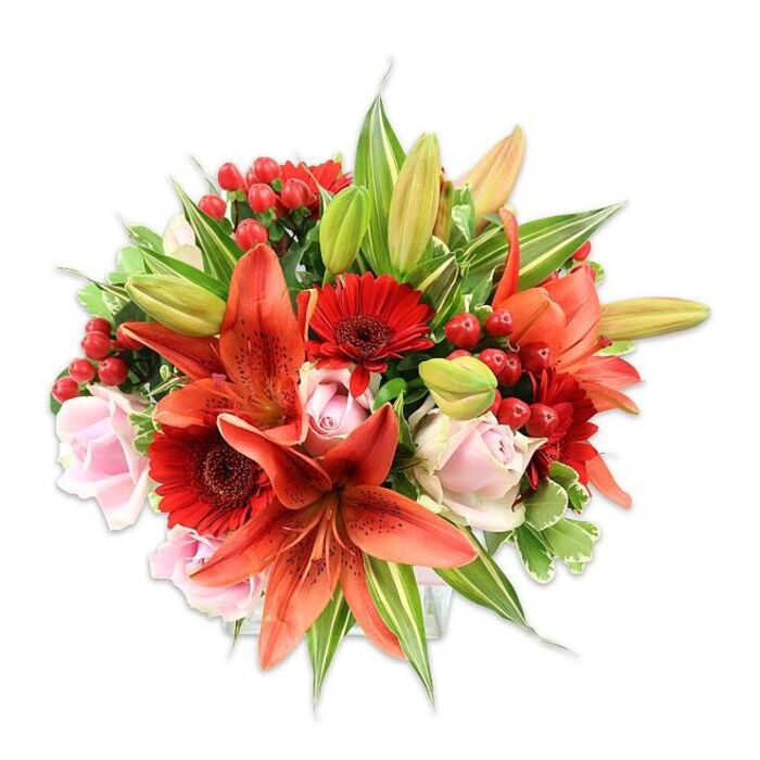 On a stark white background this lush bouquet reveals a confident interplay of colour and form: several large orange-red Asiatic lilies - some fully open with recurved, speckled petals and visible stamens, others poised in tight buds - anchor the design. Surrounding them are vivid red Gerbera daisies, their petals fanning out from darker central disks to add a cheerful, graphic rhythm. Interspersed are pale blush roses, their velvety petals folding into classic rosette forms that soften the palette and invite close inspection. Little clusters of shiny red Hypericum berries punctuate the arrangement, offering a festive texture and a jewel-like sheen against the smoother petals. The foliage is abundant and varied - broad, glossy leaves for structure and a few variegated stems to add lightness and visual interest - giving the bouquet a full, rounded profile and a sense of cultivated abundance.
From the viewpoint of a florist familiar with Barkingside and its neighbouring streets, this arrangement evokes late-afternoon light streaming through a window on Hainault Road, warming the orange and red tones. The bouquet smells of spicy lilies overlaid with the sweet whisper of roses and the green, resinous hint of fresh foliage. Texturally it is complex and satisfying: satiny rose petals, the firmer, paper-like lilies, the crisp gerbera petals and the smooth, tactile berries. Carefully balanced and thoughtfully assembled, it sits well for celebrations such as anniversaries or milestone birthdays, and would make a bright, comforting gift for someone returning from a stroll in nearby Hainault Forest or a coffee on Barkingside High Street.