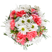 This Barkingside bouquet encapsulates the essence of spring's arrival with a masterful mix of texture, tone, and meaning. At its heart, radiant white daisies with golden-green centers punctuate fluffy clouds of coral-pink carnations, their lively ruffles breathing energy and softness into the scene. Baby's breath winds through in a fine haze, creating dreamlike dimension and imparting a playful airiness. Muted eucalyptus and rich, dark greenery set the frame, accentuating the bouquet's rounded form and giving every bloom its moment in the light. Between the leaves, slender alstroemeria buds tinged with rose and violet offer hints of coming colour and fragrance-the subtle promise of days ahead. Every stem is expertly chosen, every angle designed to evoke celebration, gratitude, or gentle encouragement, just as Barkingside's own florists would for their local clients. This arrangement, fresh and vibrant, makes a thoughtful gift for a special birthday, a new home, or simply lifting someone's spirits along the busy lanes of Barkingside.